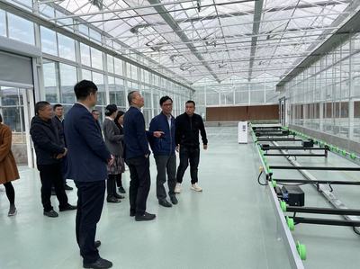 嘉興市鄉村振興辦來桐鄉督查農業高能級平臺建設工作