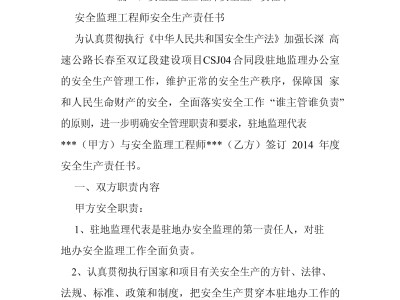 監理工程師的責任,監理工程師的責任和義務
