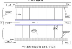 水泡糞豬舍設(shè)計(jì)圖,豬舍設(shè)計(jì)圖