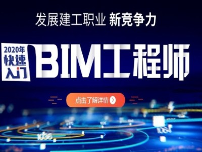 關于bim工程師一月多少錢收入的信息