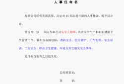 專業(yè)監(jiān)理工程師任命書的簡單介紹