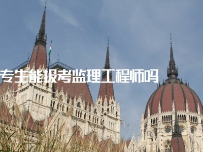 監理工程師中級職稱專業技術總結監理工程師中專能考嗎
