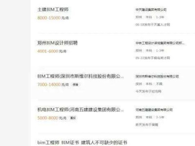 bim技術(shù)工程師待遇,bim設(shè)計(jì)師待遇