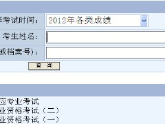 關于一級建造師成績查詢系統(tǒng)的信息